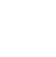 logo medphoenix